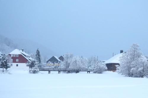 Menzenschwand-Hinterdorf"Schwalbennest" LUXUS-FEWO Sauna Schwimmbad nebenan Biosphären Wandergebiet的一座白雪覆盖的村庄,有红房子和树木