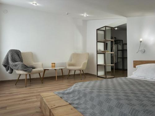 特鲁斯卡韦茨海吉纳Spa度假村的一间卧室配有两把椅子、一张床和一张桌子