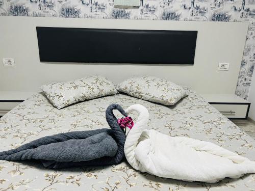 康斯坦察Andia的两个天鹅躺在床上