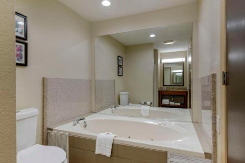 哥伦布Comfort Suites Columbus State University Area的带浴缸和卫生间的大型浴室