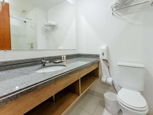 坎皮纳斯Ibis Styles Campinas Alphaville的一间带水槽、卫生间和镜子的浴室