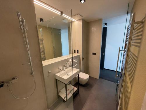 布拉迪斯拉发Ponton Rooms的浴室配有卫生间、盥洗盆和淋浴。