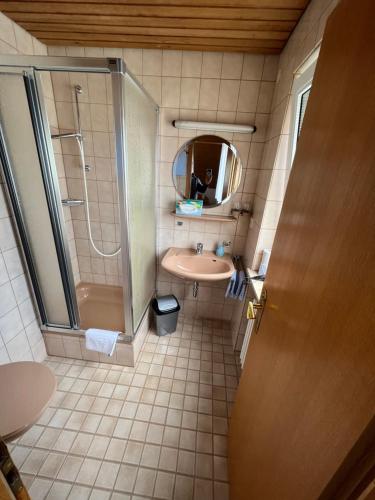 梅尔斯堡Pension Seliger的一间带水槽、淋浴和镜子的浴室