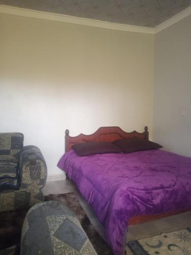 纳库鲁Airbnb的一间卧室配有一张紫色的床和一把椅子