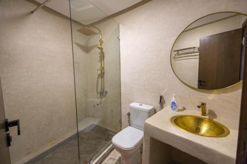 SefrouBhalil Farm House的一间带卫生间、水槽和镜子的浴室