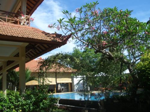 罗威那贾耶旅馆的一座树屋前的游泳池
