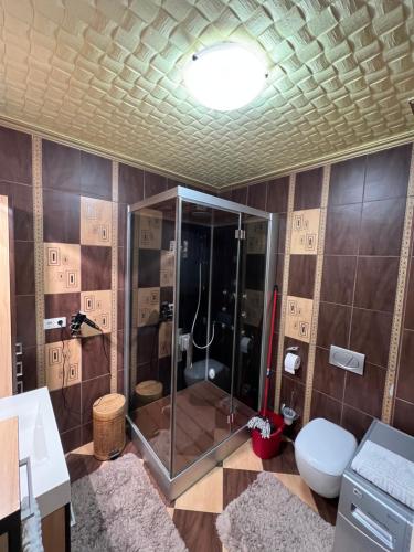尼赖吉哈佐Prémium Apartman Nyíregyháza的带淋浴和卫生间的浴室