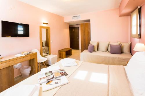 阿莫利亚尼岛向日葵宾馆的一间带两张床和电视的客厅