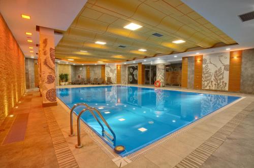 恰尔纳Hotel Perła Bieszczadów Geovita的在酒店房间的一个大型游泳池
