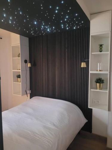 滨海贝尔克Mon ciel étoilé的一间卧室设有一张天星床,天花板上设有星星床