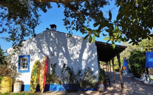 圣特奥托纽蒙特达乔卡乡村民宿的屋顶上有一只猫的白色建筑