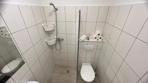 Libice nad CidlinouFara N°71 APART 1的一间带卫生间和淋浴的小浴室