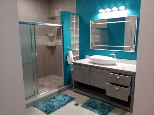 Hyde ParkCoconut Creek Apartments Beautiful Spacious Studio的浴室配有盥洗盆和带镜子的淋浴