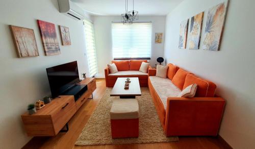 Donje MladiceApartman Stan ,Istocno Sarajevo 26的客厅配有橙色沙发和电视