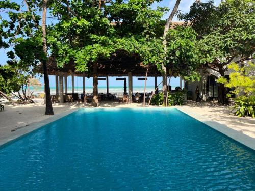 江比阿Garden Beach Bungalows Jambiani的海滩旁的蓝色游泳池,树木繁茂