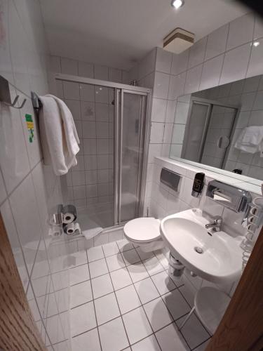 巴特戈特洛伊巴Augustusberg Hotel & Restaurant的一间带水槽、淋浴和卫生间的浴室