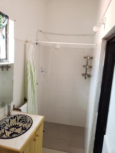 CanouanBay View Apartments Canouan Island的一间带水槽和淋浴的浴室