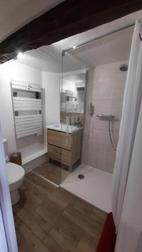 Gagnac-sur-CèreL'Ostal de Gagnac的带淋浴、卫生间和盥洗盆的浴室