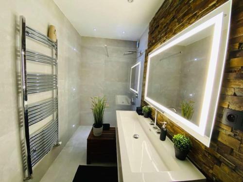 瑟兰Superbe appartement chic et design的一间带水槽和砖墙的浴室