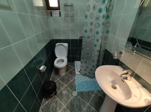 吉诺卡斯特Dona's Studio Apartment的一间带水槽和卫生间的浴室