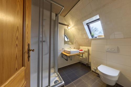 Kammerforst布劳纳赫希乡村酒店的一间带卫生间和水槽的小浴室
