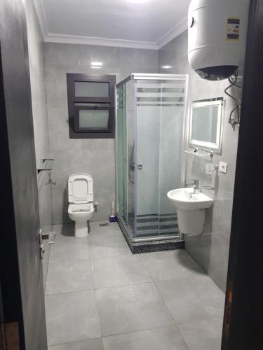 塞得港Porto said بورتوسعيد غرفتين وصاله的带淋浴、卫生间和盥洗盆的浴室