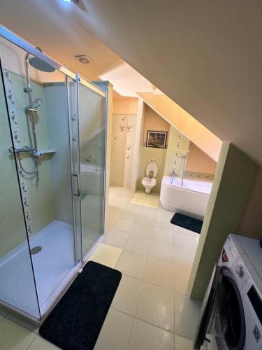 Rezydencja Pod Platanem的带淋浴、卫生间和盥洗盆的浴室