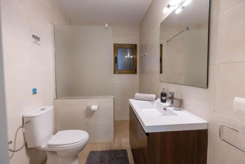圣安东尼奥湾Villa Carvi的一间带卫生间、水槽和镜子的浴室