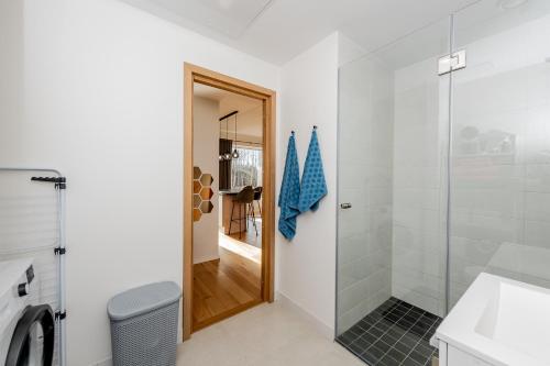 派尔努Mesiheina Apartment的带淋浴的浴室和玻璃门