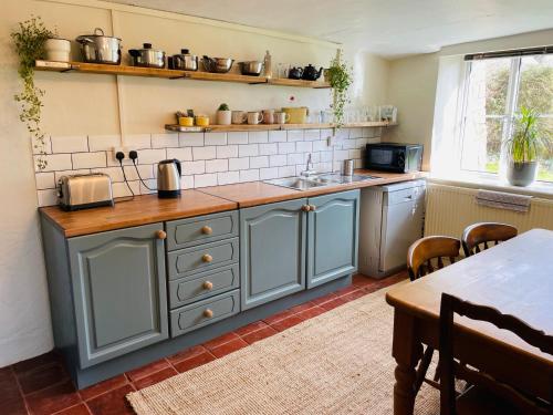 埃克塞特Elbury Lodge的厨房配有蓝色橱柜、水槽和桌子