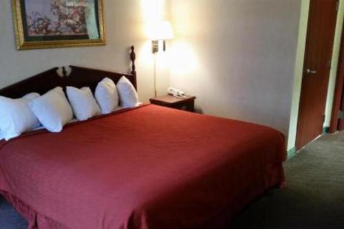 琼斯伯勒ARK SUITES的配有红色床和白色枕头的酒店客房