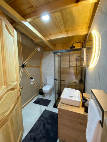 贾马里海姆森LİMKHONA DOME - CHALET的一间带水槽和卫生间的浴室