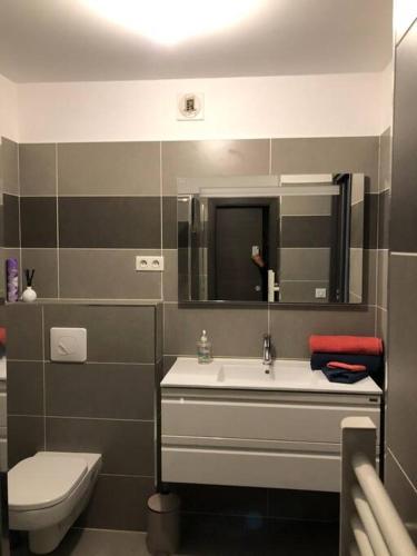 普罗普里亚诺T2 récent climatisé à 100m du port的一间带水槽、卫生间和镜子的浴室