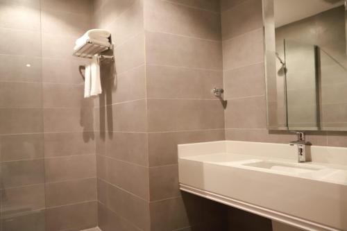 海米斯穆谢特Tulip View Hotel的一间带水槽和镜子的浴室