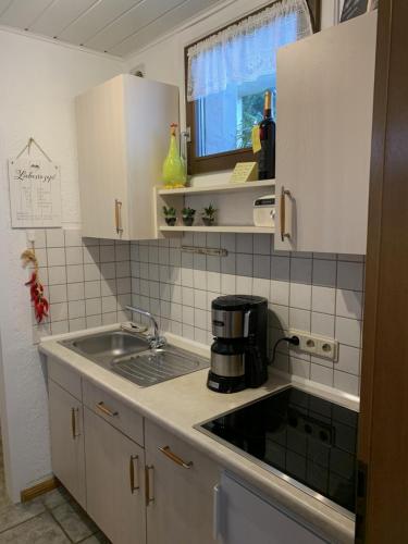 Osann-MonzelHanne's Gästestudio的一个带水槽和窗户的小厨房