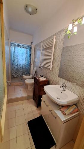 雷卡纳蒂La Casetta di Zia Palmina的一间带水槽、卫生间和淋浴的浴室