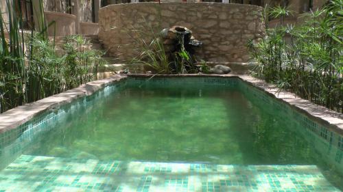 索维拉Slow Luxury at the Serai的花园内的游泳池,后方有狗