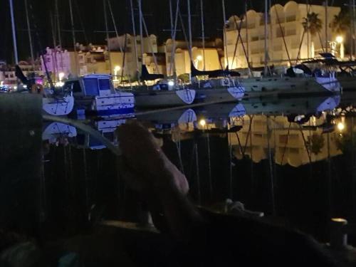 格吕桑super Voilier Eve的一群船在晚上停靠在码头