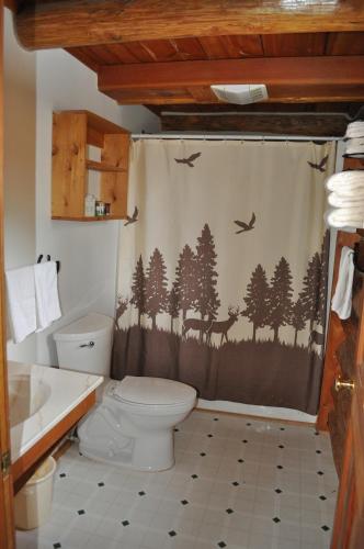 杜波依斯Crooked Creek Guest Ranch的一间带卫生间和淋浴帘的浴室