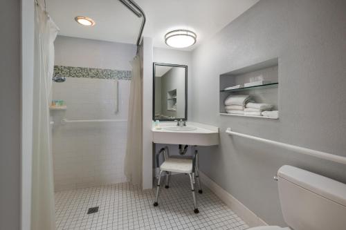 MerrickGateway Inn的一间带水槽、卫生间和淋浴的浴室