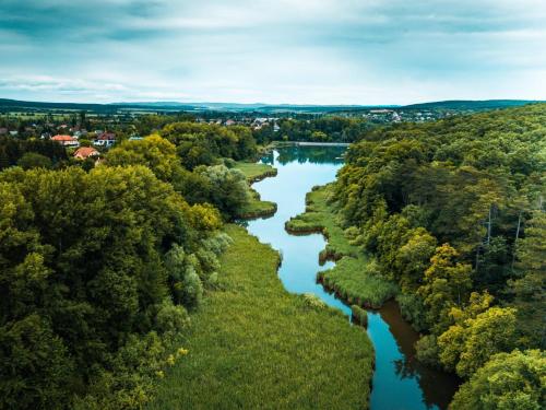索普隆LakeLove Házikó Sopron- Erdő és tópart mellett的树木繁茂的河流的空中景色