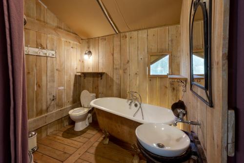 莱塞齐耶德泰阿克Camping Le Pech Charmant的带浴缸、卫生间和盥洗盆的浴室