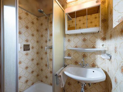 蒂罗尔州圣约翰Wolkenmooshof的一间带水槽和淋浴的小浴室