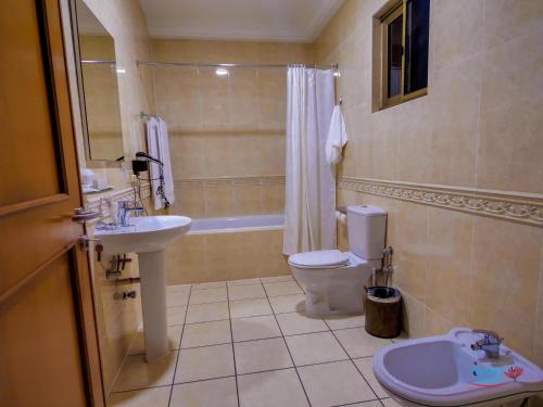 阿克拉Orchid Hotel的一间带卫生间和水槽的浴室