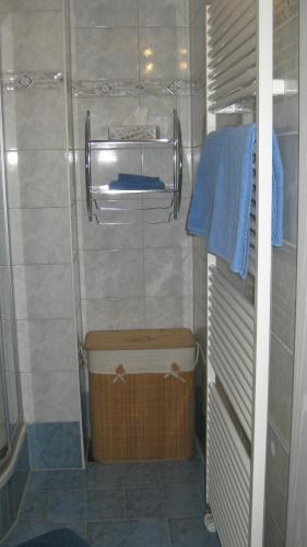 加尔米施-帕滕基兴Landhaus Wiesenhof Ferienwohnung Zugspitz的浴室配有浴缸、淋浴和蓝色毛巾