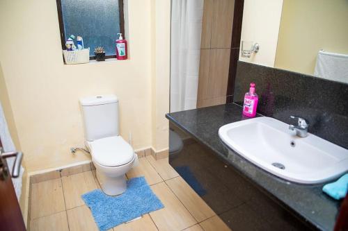 KiambuThe White Dove - At Migaa Golf Estate的浴室配有白色卫生间和盥洗盆。