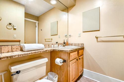 莱克哈莫尼Snowflakes to Summer Wind的一间带卫生间、水槽和镜子的浴室