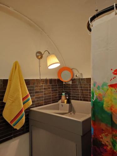 伊莫拉La tana di Topolino的一间带水槽和淋浴帘的浴室