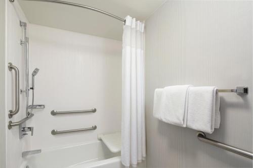 圆石城Courtyard by Marriott- Austin Round Rock的带淋浴和浴帘的浴室