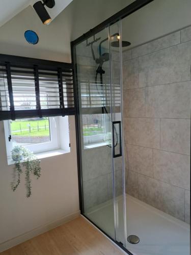 迪尔森-斯托科姆Vakantiehuisje Fie的带窗户的浴室内的玻璃淋浴间